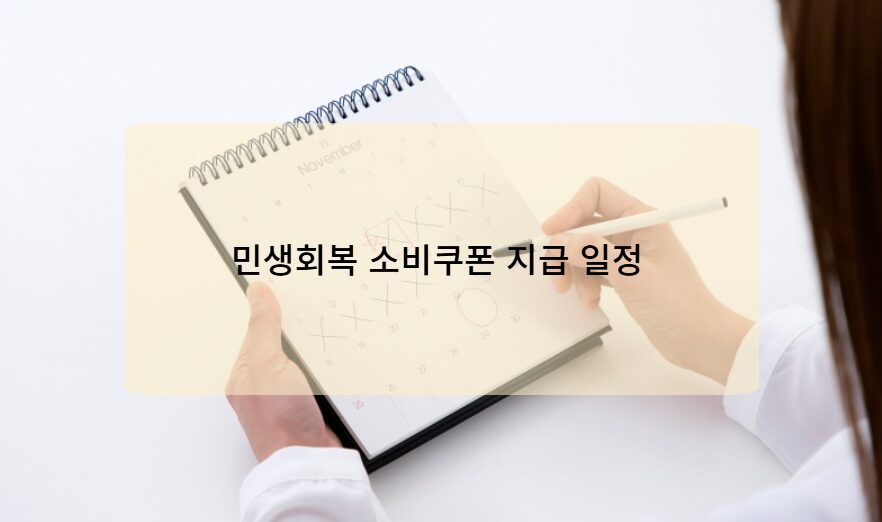 민생회복 소비쿠폰 지급 일정