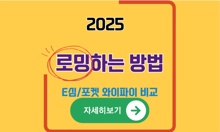 로밍하는 방법