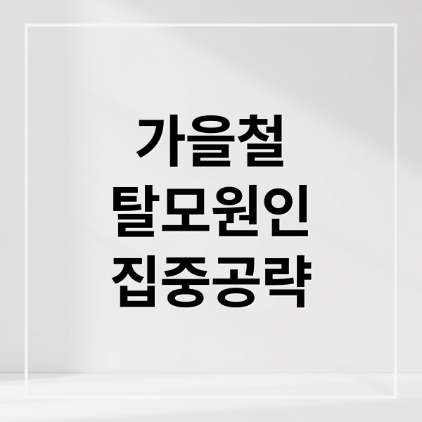가을철 탈모 원인부터 맞춤 관리, 음식, 홈케어 A to Z
