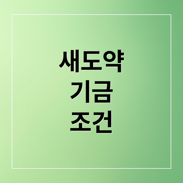 2025 새도약기금: 소상공인 빚 탕감 조건, 신청 방법 완벽 가이드